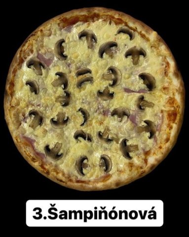 ŠAMPIŇONOVÁ